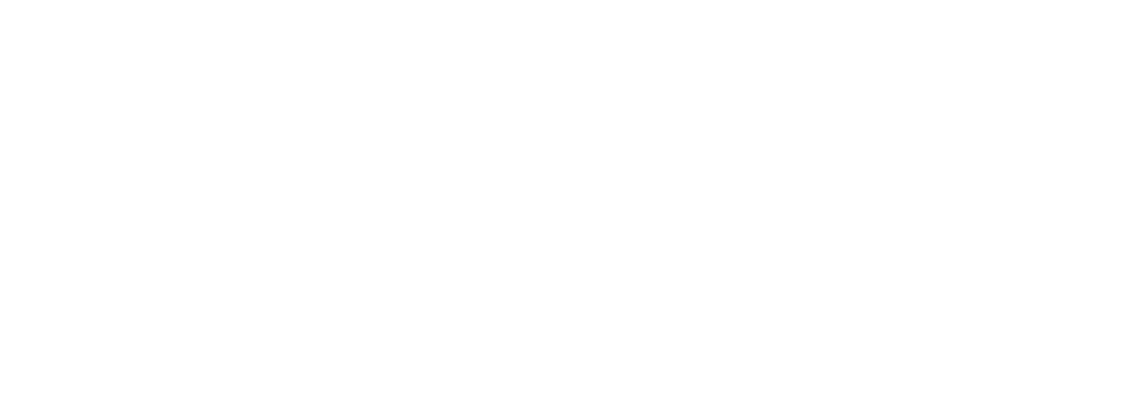 Maestro Strategic Partners — Advisors & Consultants to Plaintiffs' Firms